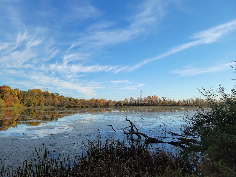 Wetlands Worth Paying Attention To