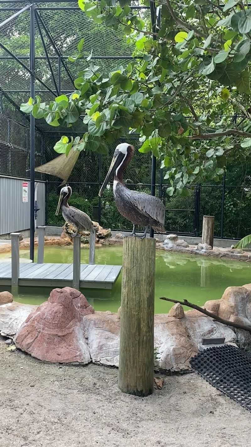 Educational Presentations and Shows