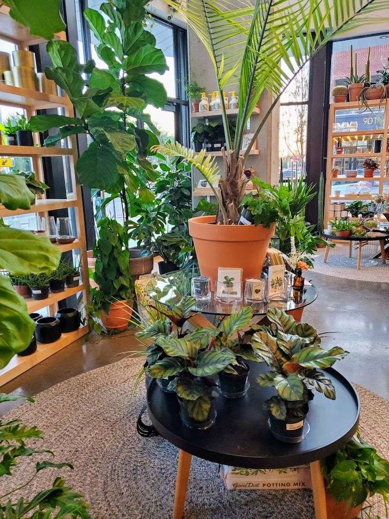 Why This Spot Stays With You