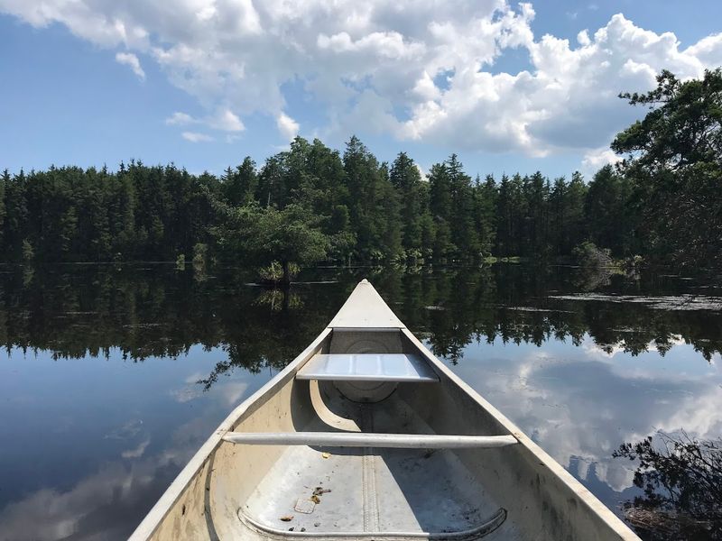 Wells Mills Lake and What It Offers