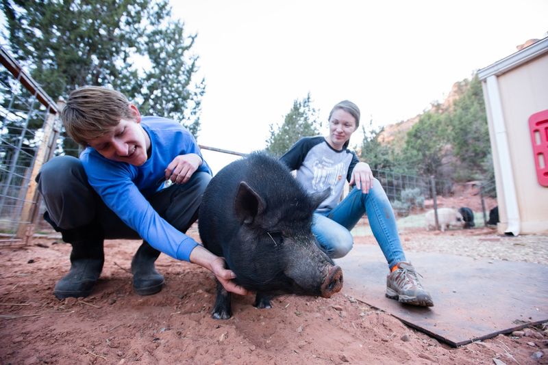 Best Friends Animal Sanctuary — Kanab, Utah