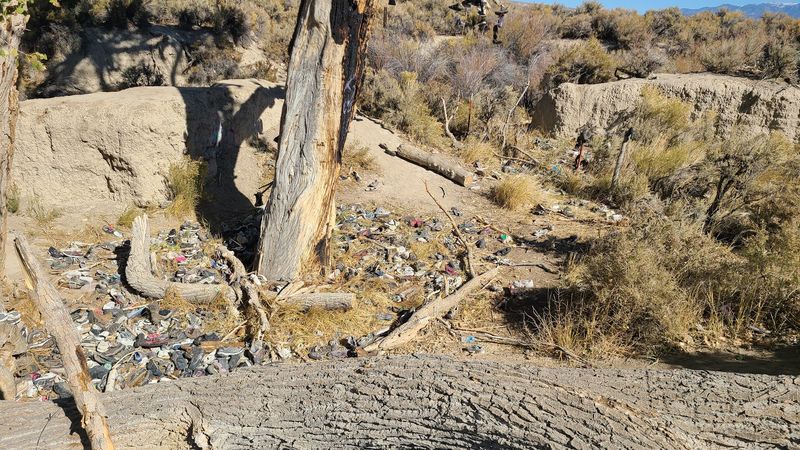 The Smell, the Trash, and What to Expect Honestly