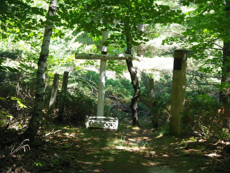 The Irish Roots That Still Shape the Island Today