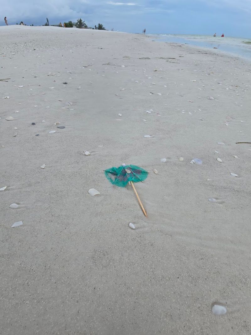 Shelling Like You Have Stumbled Into a Treasure Hunt