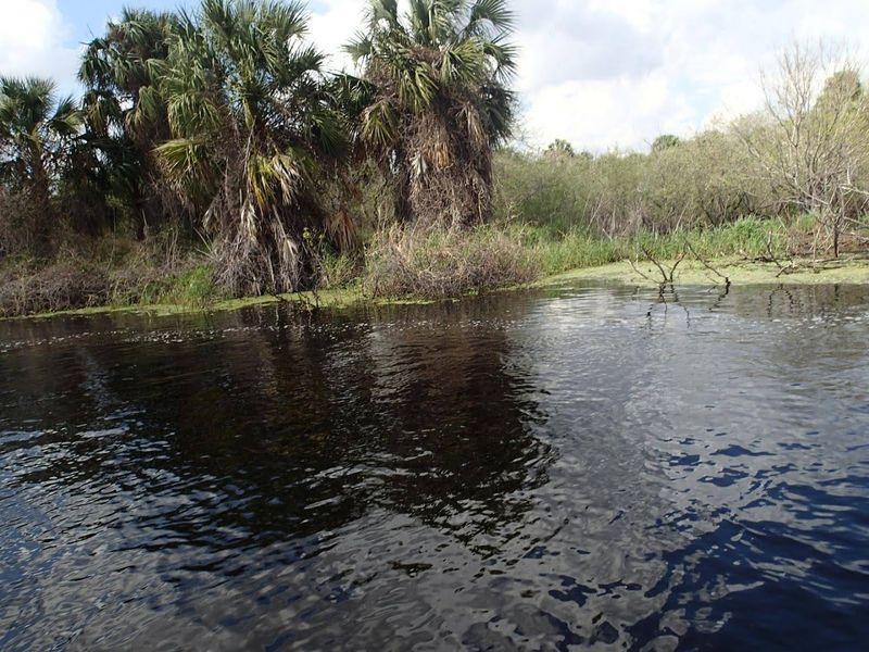 Kayaking Through Quiet Creek Systems
