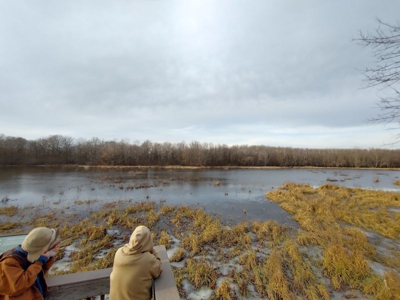 Best Times of Year to Visit