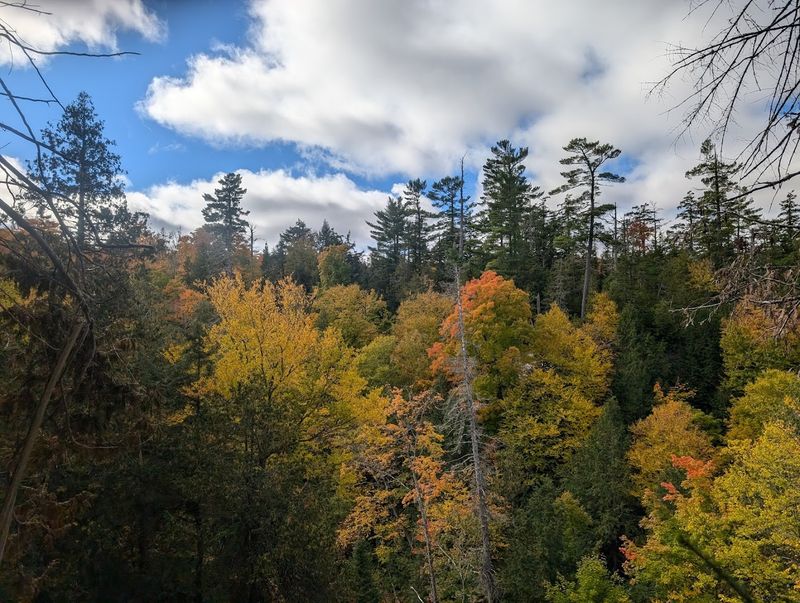 Fall Foliage and the Best Seasons to Visit