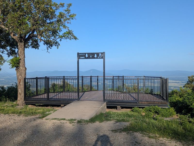 The View From the Top