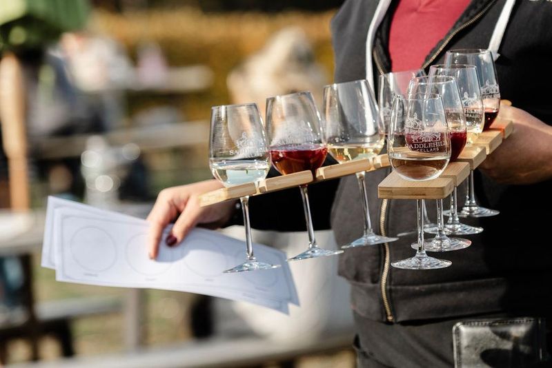 Guided Tastings and What to Know Before You Go