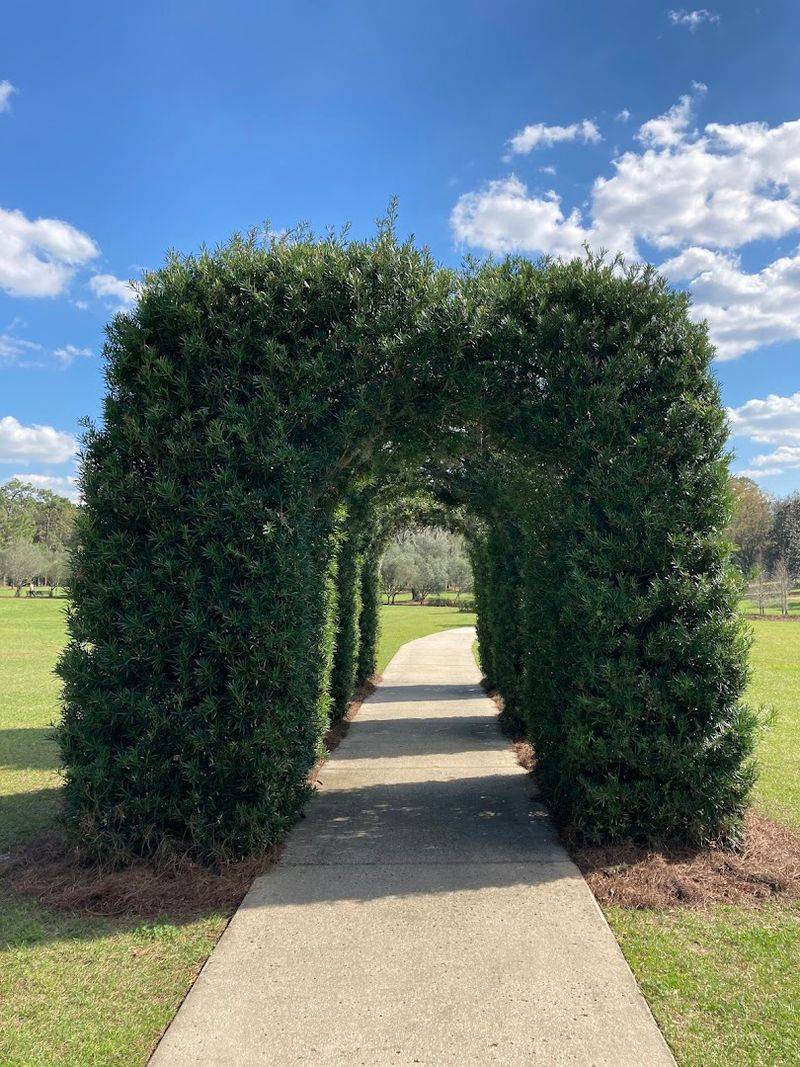 The Labyrinth: A Mindful Walk with a Purpose