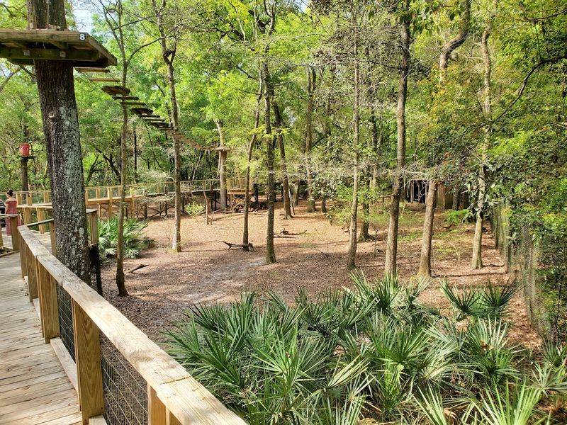 The Kids' Ropes Course: Junior Adventurers Welcome