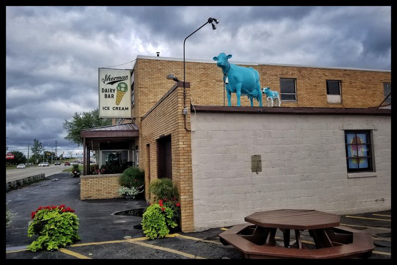 Why the blue cows matter