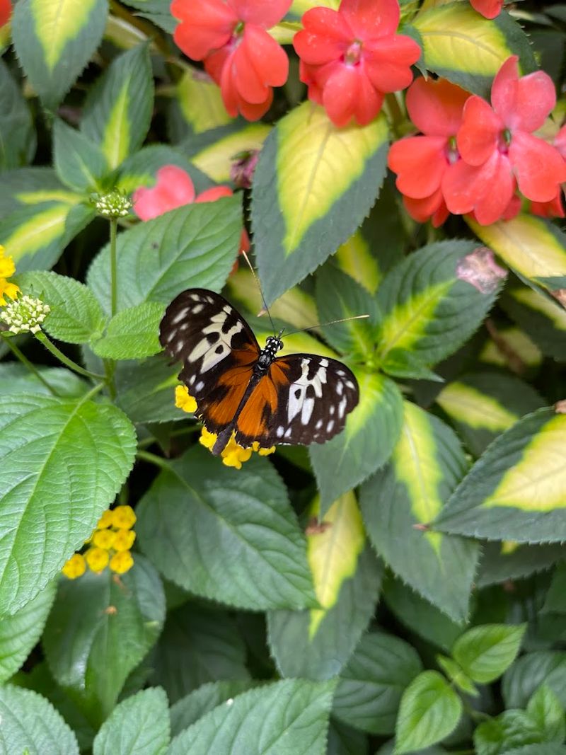 Close encounters with tiny creatures