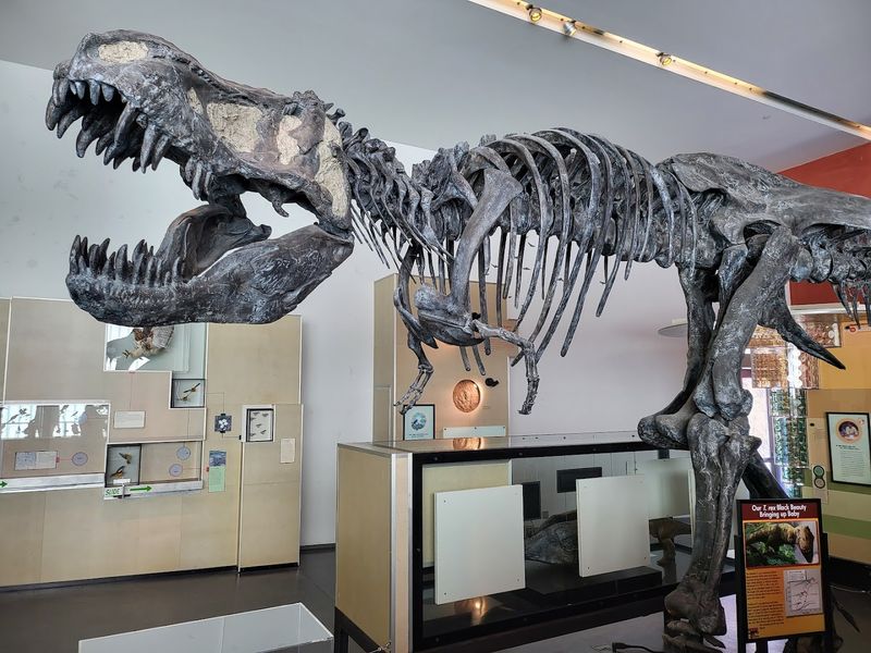 The dinosaur moment everyone remembers