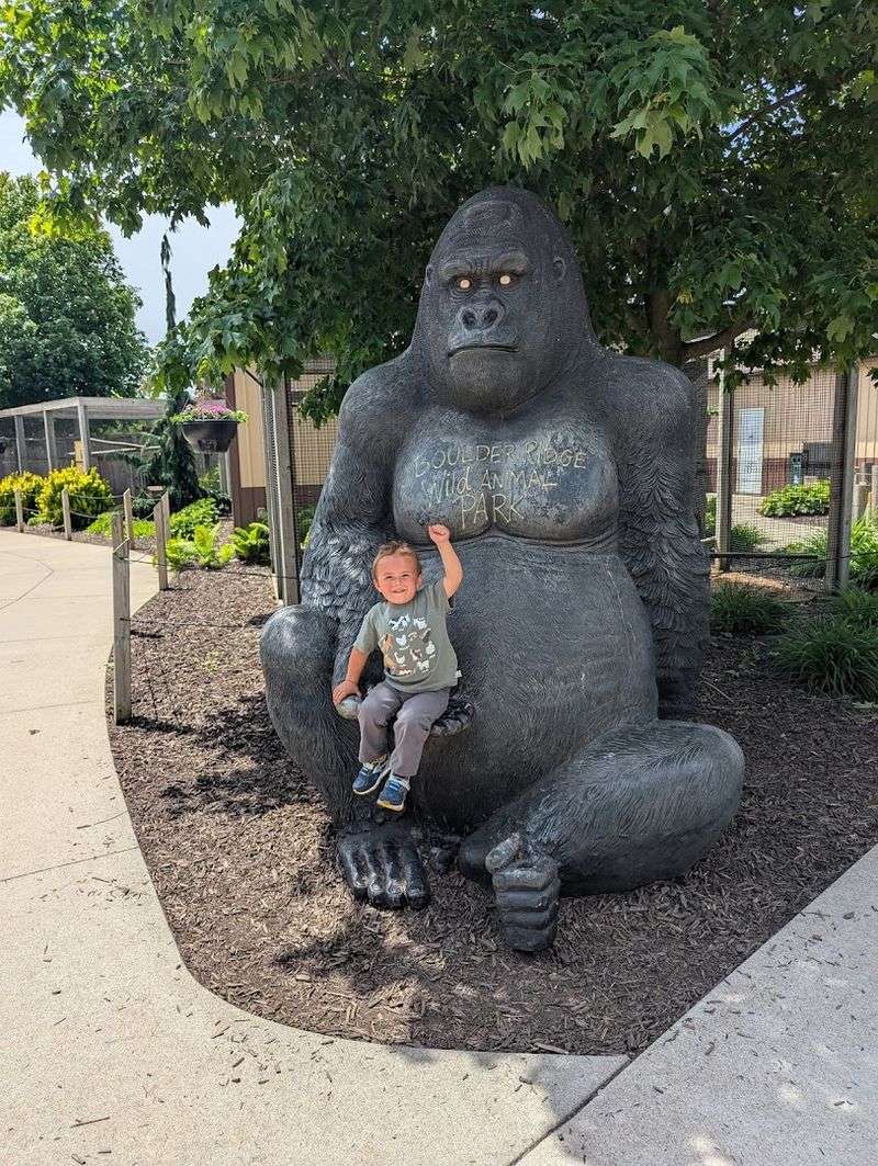 Why the layout works so well