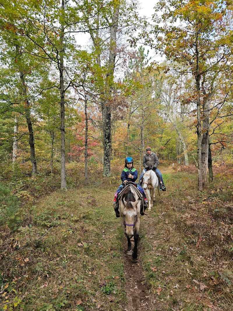 When to go and what to expect