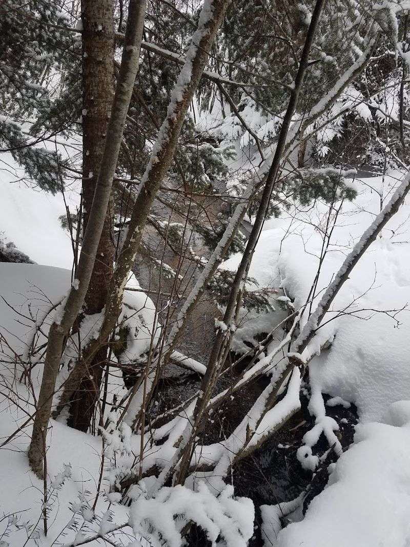 Close to town, far from noisy