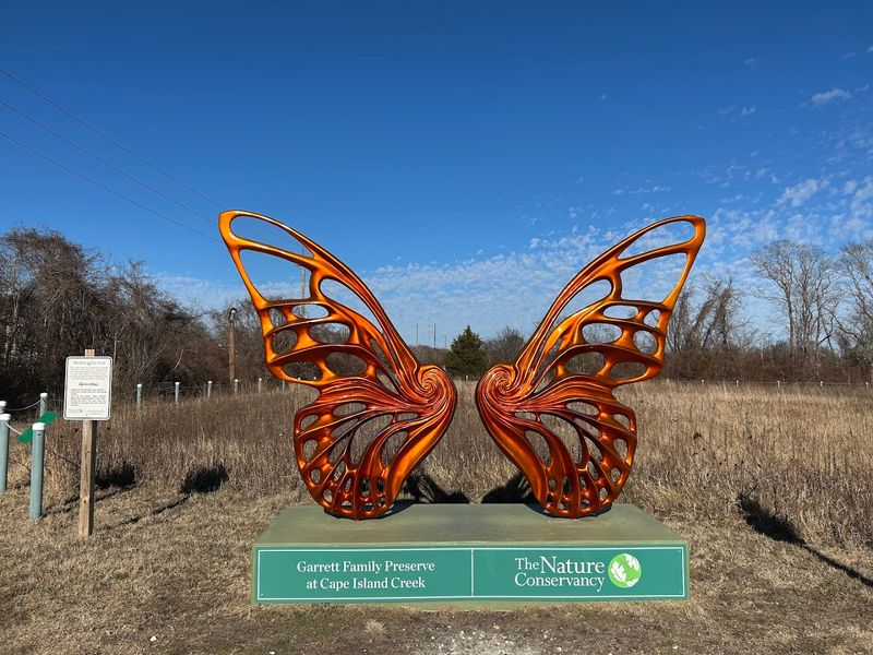 What to know before going