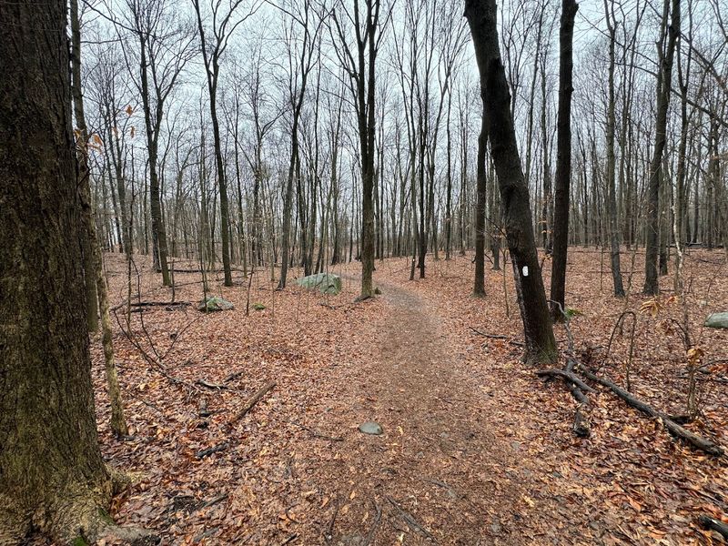 A link to the Appalachian Trail
