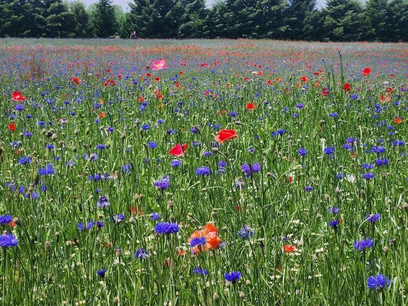 The short season that matters most