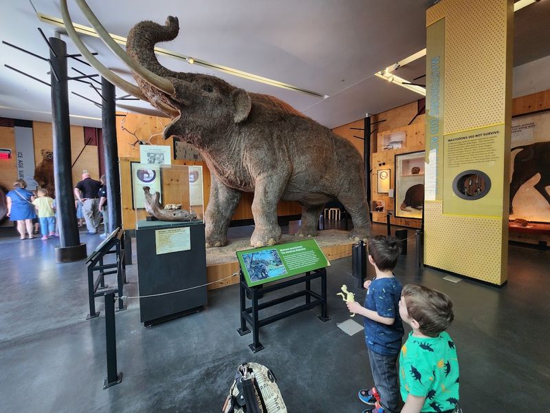 Hands-on exhibits keep it lively