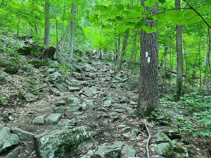 A route with two moods