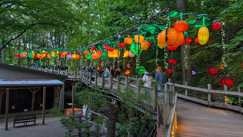 Food stops that keep the evening moving