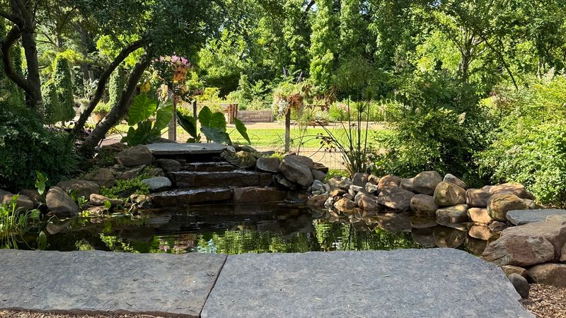 The Japanese Garden and Asian-Inspired Spaces