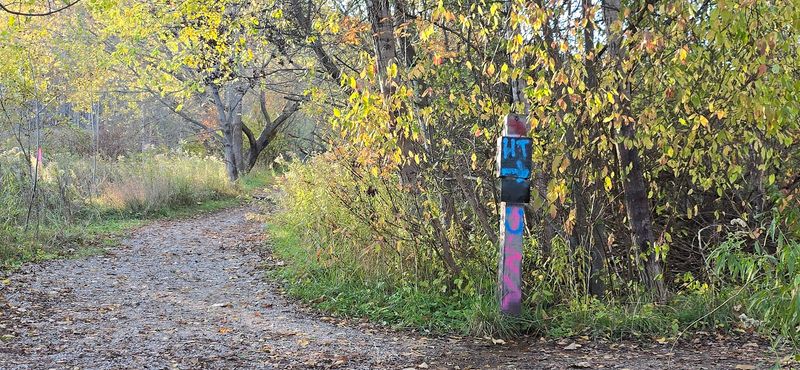 Finding the Trailhead: Where to Start Your Visit