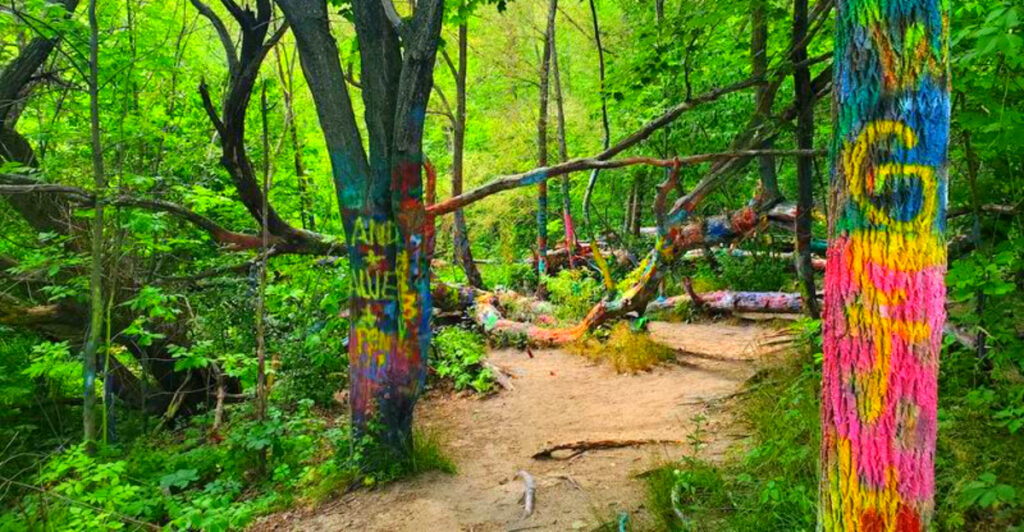 There’s a Colorful Tree Covered in Graffiti Hidden in Traverse City