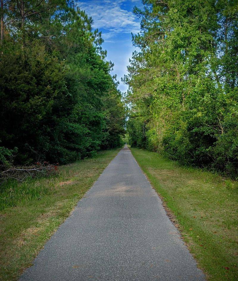 The Trail's Railroad Roots and History