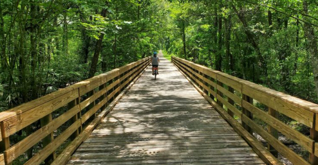 This 16-Mile Florida Bike Trail Follows an Abandoned Railroad Through a Prairie Where Wild Bison and Horses Roam