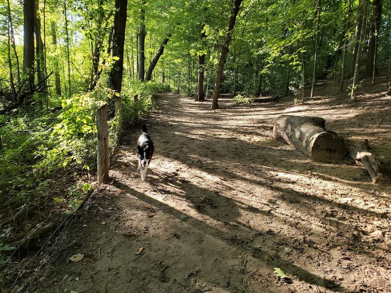 Where to Find It and What You Are Getting Into