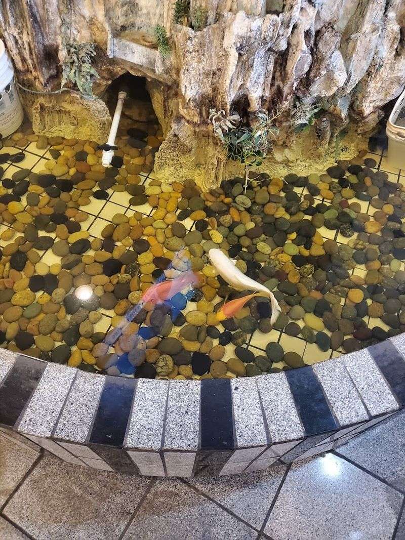 The Location and First Impressions