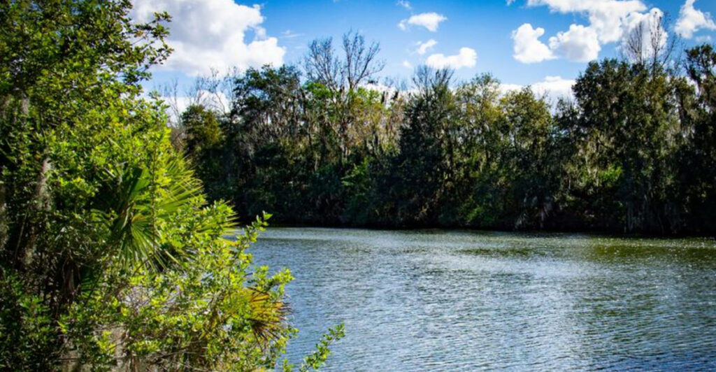 This Bartow Park Is a Local Favorite for Peaceful Walks, Shaded Trails, and Family-Friendly Outdoor Fun