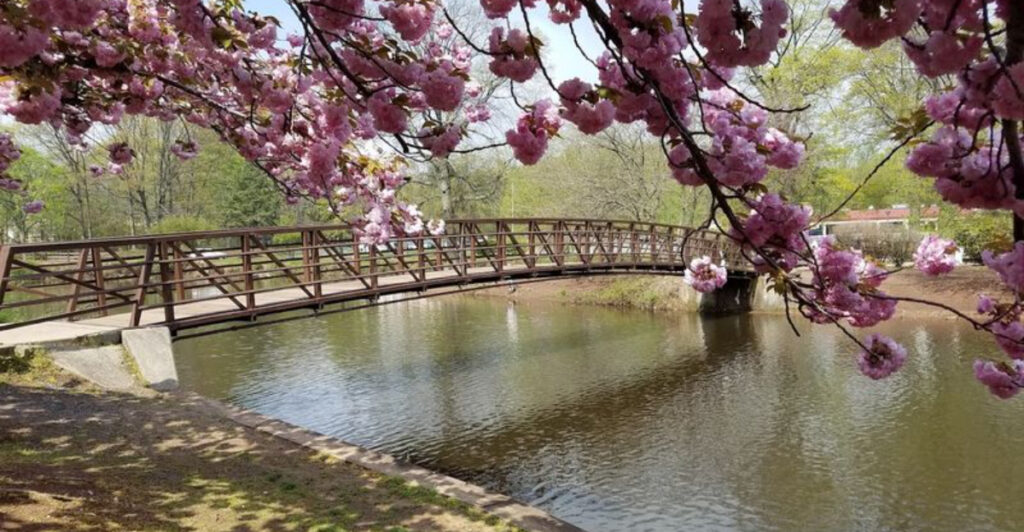 This Beautiful New Jersey Park Has Lake Views, History, and a Surprise Cultural Twist
