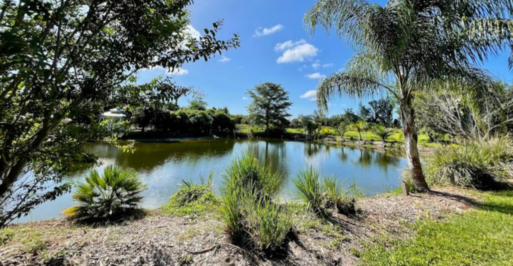 This Bradenton Botanical Park Is a Peaceful Escape Filled with Lush Gardens, Rare Plants, and Hidden Paths