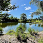 This Bradenton Botanical Park Is a Peaceful Escape Filled with Lush Gardens, Rare Plants, and Hidden Paths