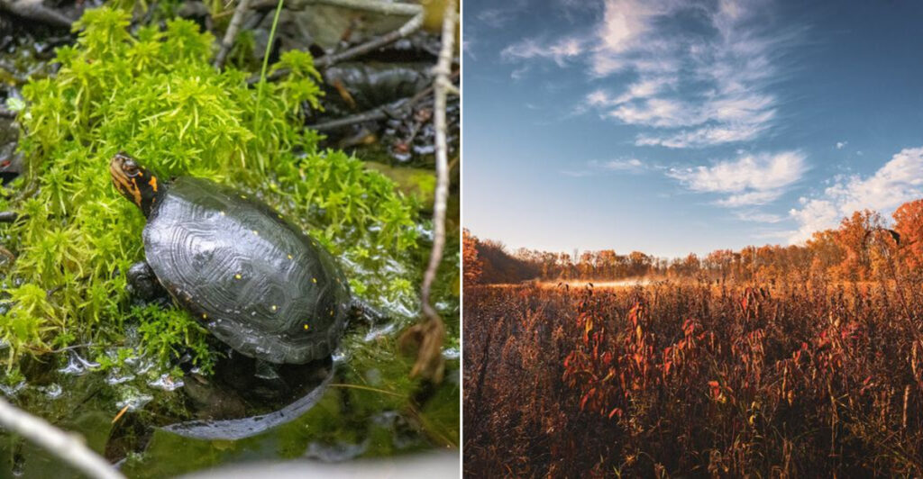 This Breathtaking New Jersey Wilderness Was Nearly Turned Into an Airport