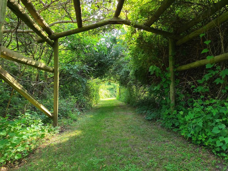 Where the trail begins