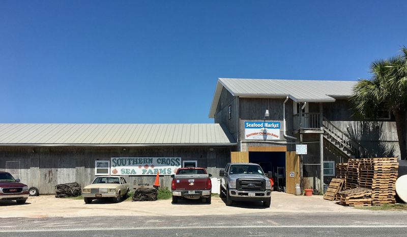 Where to Find Southern Cross Sea Farms