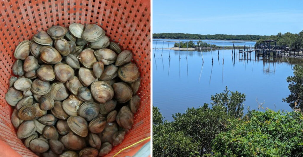 This Cedar Key Oyster Farm Serves Seafood Straight From the Gulf to Your Plate