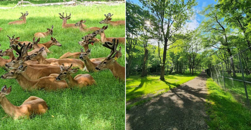 This Charming New Jersey Park Is Packed With Family-Friendly Outdoor Fun