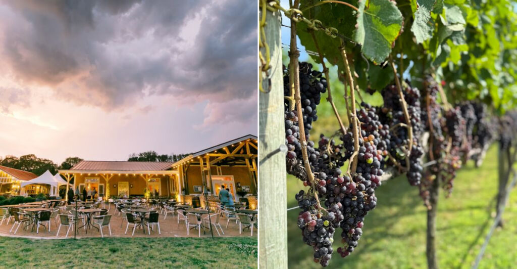 This Coastal New Jersey Vineyard Has Gardens That Feel Like a Secret Escape