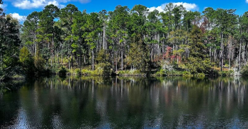 This Easy 1-Mile Florida Hike Leads to a Waterfall Your Kids Will Love