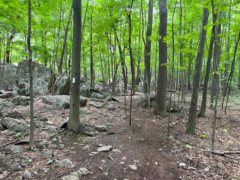 The trailhead details