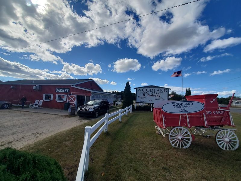 First Look on West Shelby Road