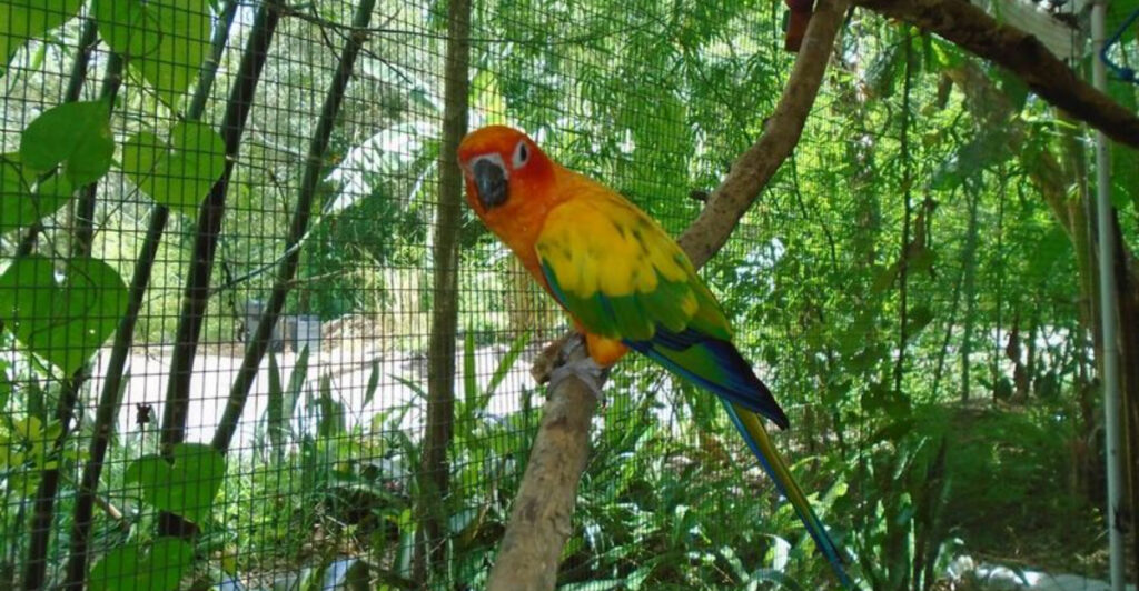 This Florida Bird Sanctuary Feels Like Discovering a Hidden Jungle Paradise