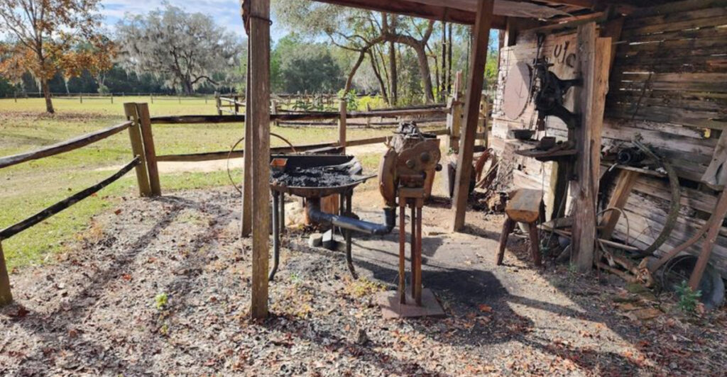 This Florida Farm Changes Everything Once You See How It Works