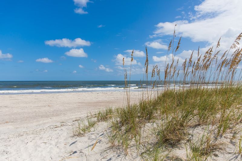 Where Amelia Island Sits and What Makes It Stand Out